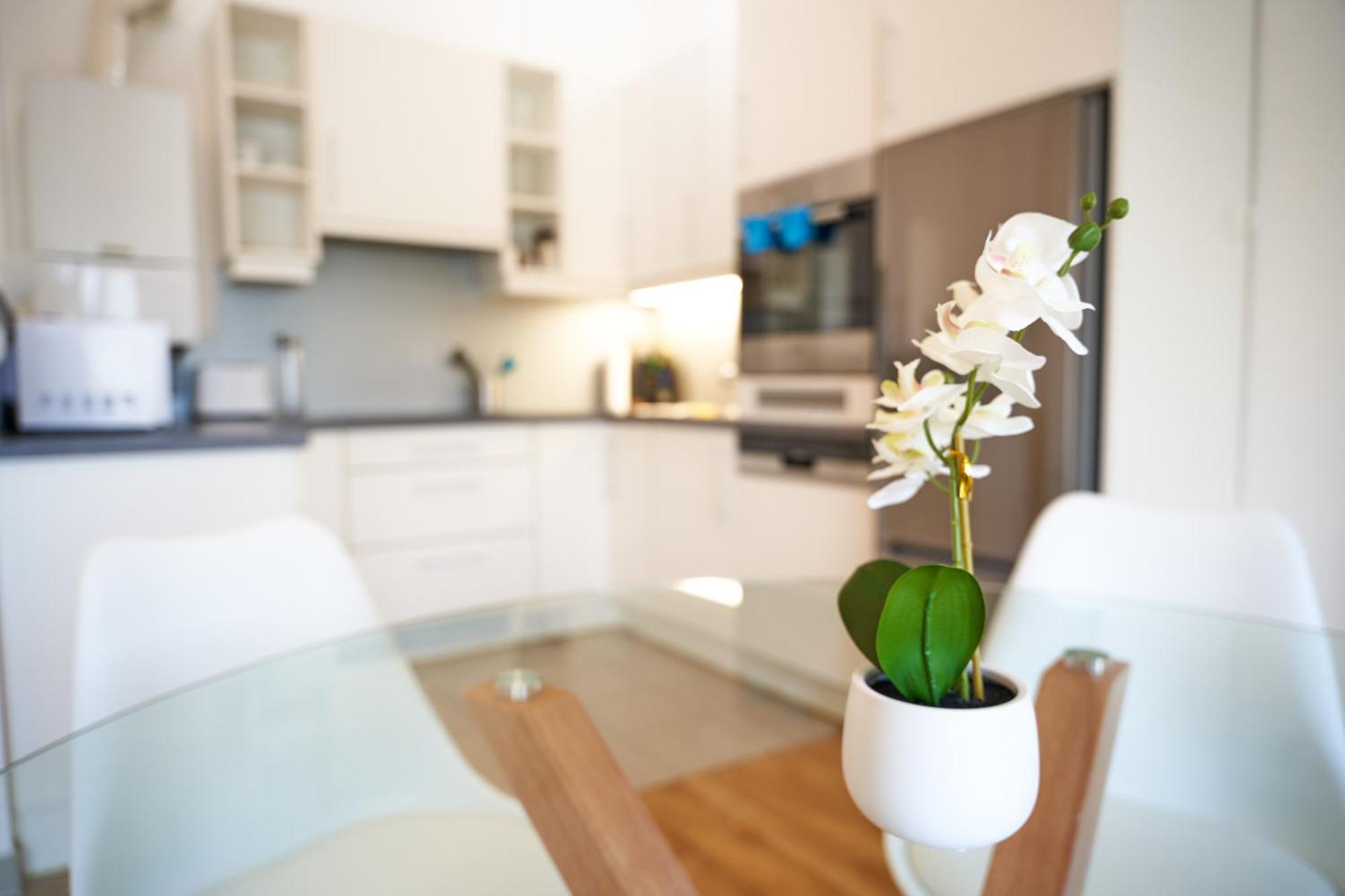 Trendy Apartment Zentral Gelegen 维也纳 外观 照片